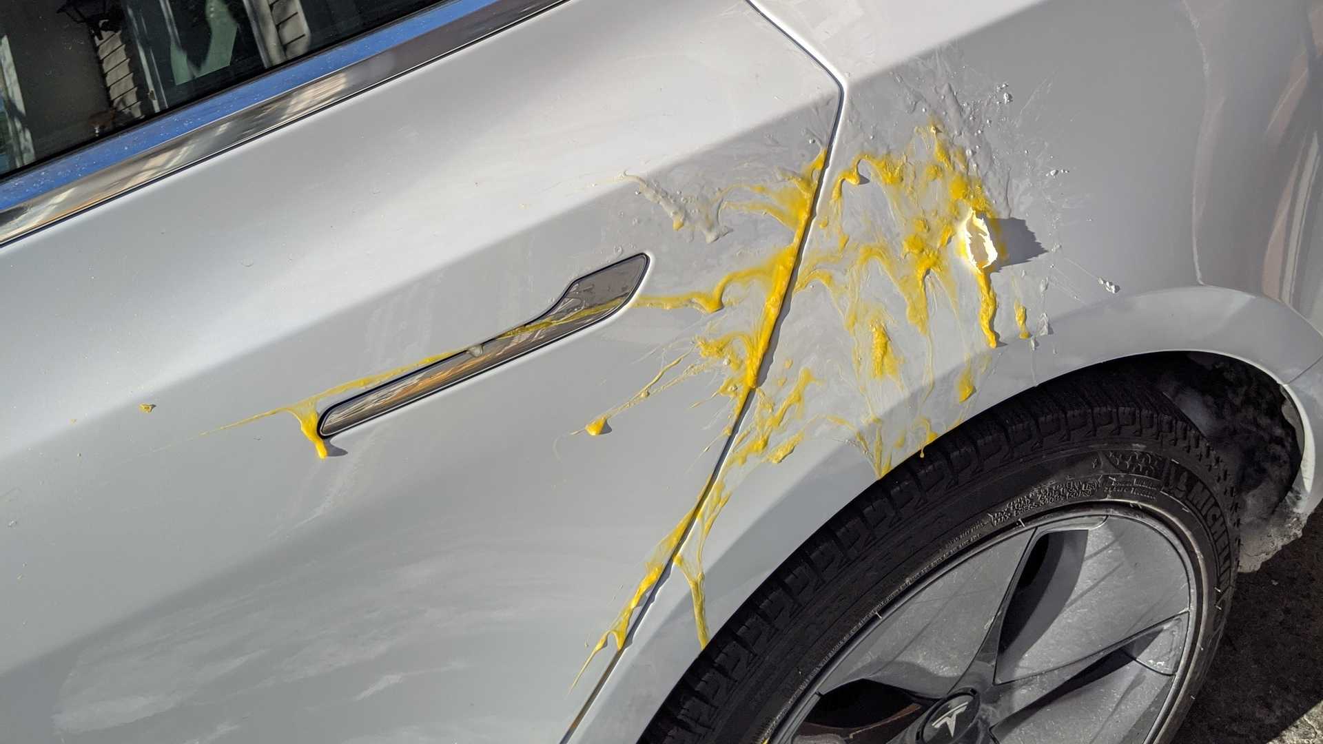 this is a photo of a tesla being egged